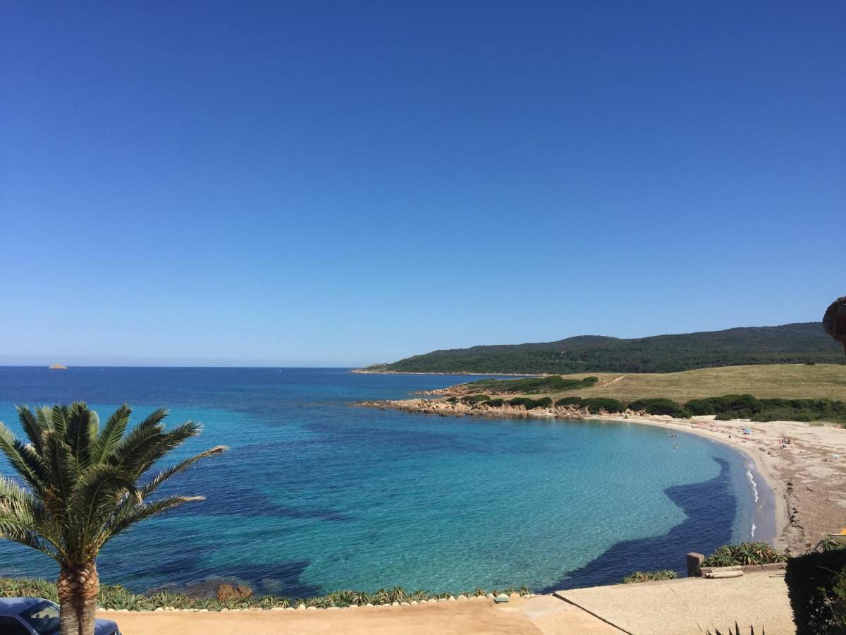 Ajaccio Magnifique T2 45M2 Neuf 5 Personnes Clim Wifi Stationnement Gratuit Centre Ville Plage A 300M 外观 照片