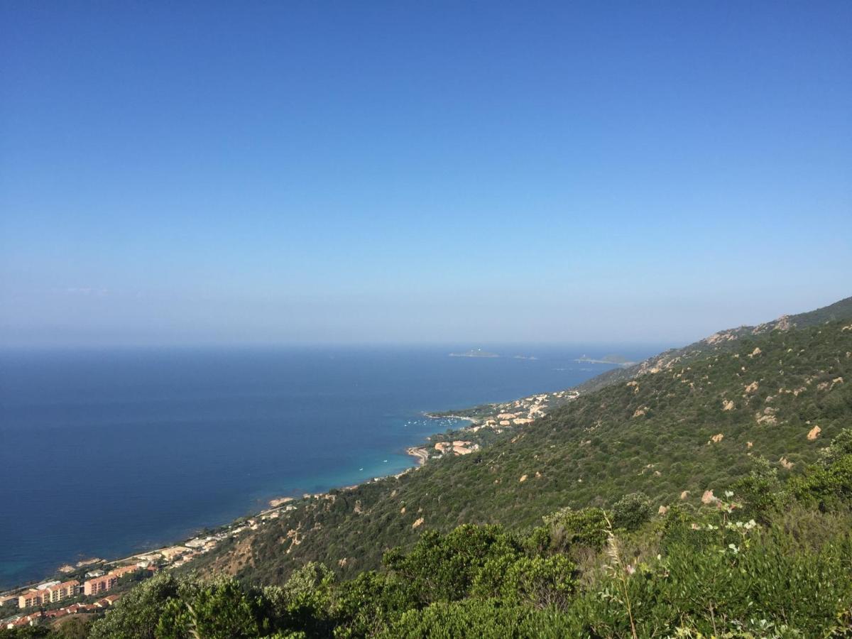 Ajaccio Magnifique T2 45M2 Neuf 5 Personnes Clim Wifi Stationnement Gratuit Centre Ville Plage A 300M 外观 照片